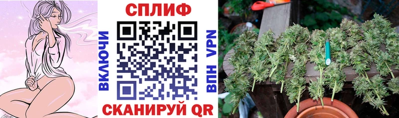 Купить  Слободской  Канабис индика 